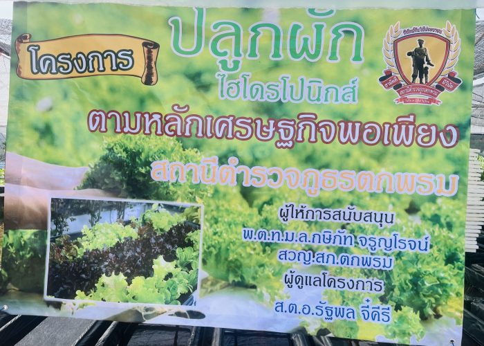 โครงการผัก