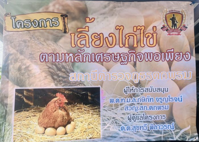 โครงไก่